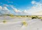 Preview: 51090103 - Platzdeckchen Robbe