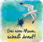 Preview: 60003002 - 3  Küstenschilder Ostsee, Moin, Scheiß drauf...