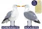 Preview: 622024 - Küstenschild "Möwe"
