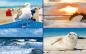 Preview: KLM1709 - KLM Acrylglasmagnet Vielmotiv