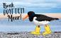 Preview: KLM1733 - KLM Acrylglasmagnet "typisch Norden"  „Boah, Watten Meer“