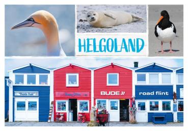 20033554 - Editionspostkarte Nordsee „Helgoland"