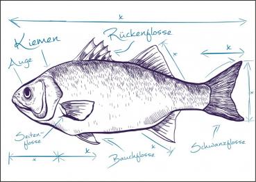 25026035 - Postkarte Küsten Gesabbel „Fisch“