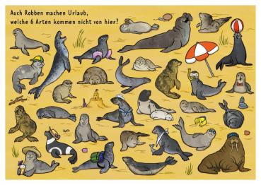 25027035 - Postkarte Küsten Cartoons "Wimmelbild-Robben"