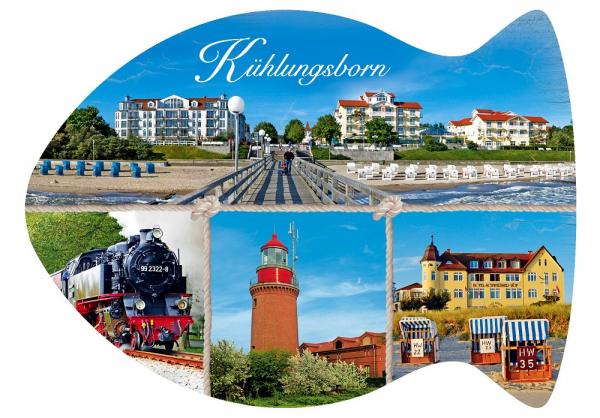 25032505 - Formpostkarte Fisch Kühlungsborn Vielmotiv